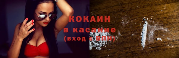 стафф Вязьма