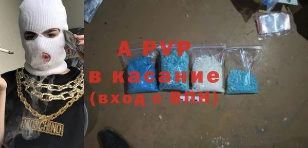 стафф Вязьма