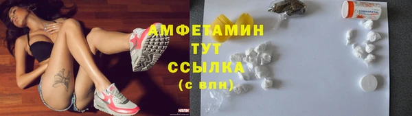 стафф Вязьма