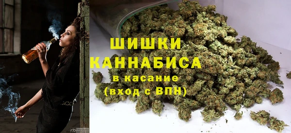 стафф Вязьма
