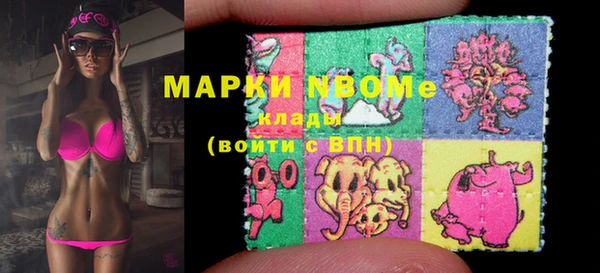 стафф Вязьма