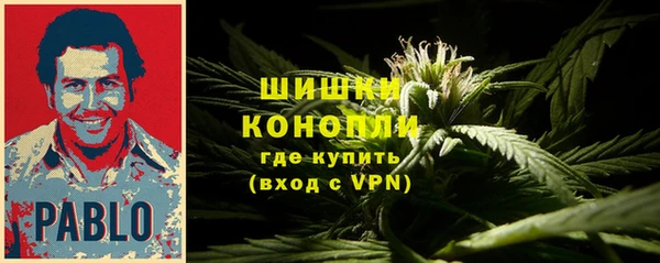 стафф Вязьма