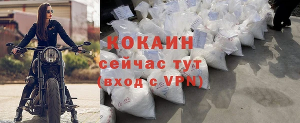 стафф Вязьма